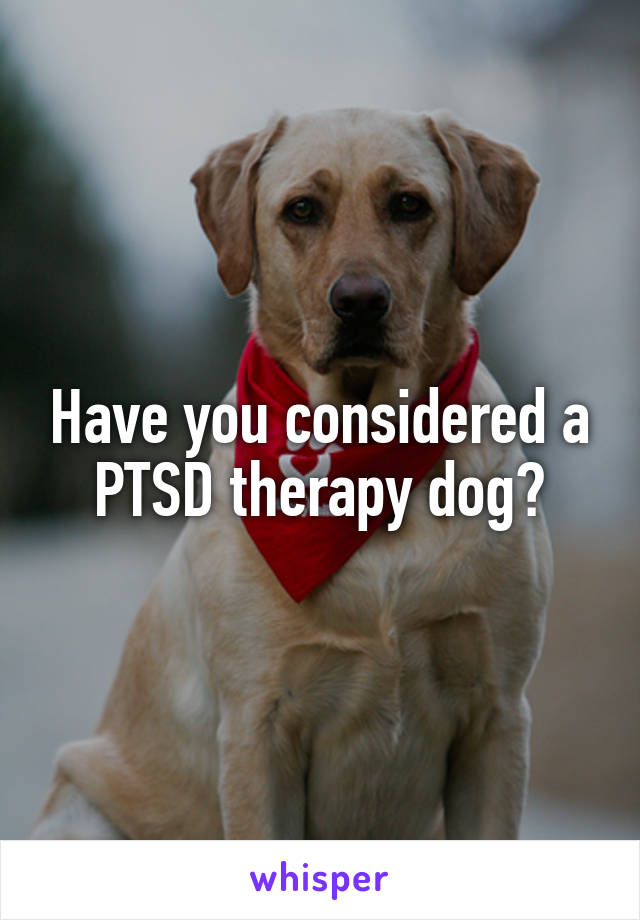 Have you considered a PTSD therapy dog?