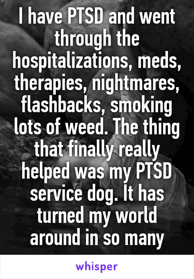 I have PTSD and went through the hospitalizations, meds, therapies, nightmares, flashbacks, smoking lots of weed. The thing that finally really helped was my PTSD service dog. It has turned my world around in so many ways.