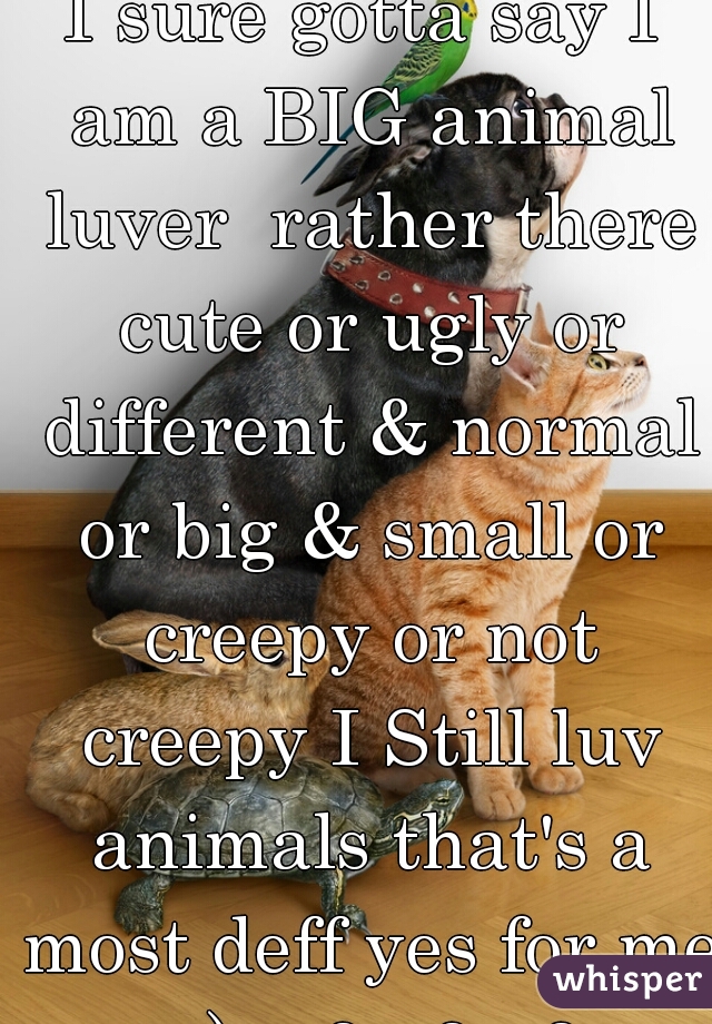 I sure gotta say I am a BIG animal luver  rather there cute or ugly or different & normal or big & small or creepy or not creepy I Still luv animals that's a most deff yes for me :-)  <3 <3 <3