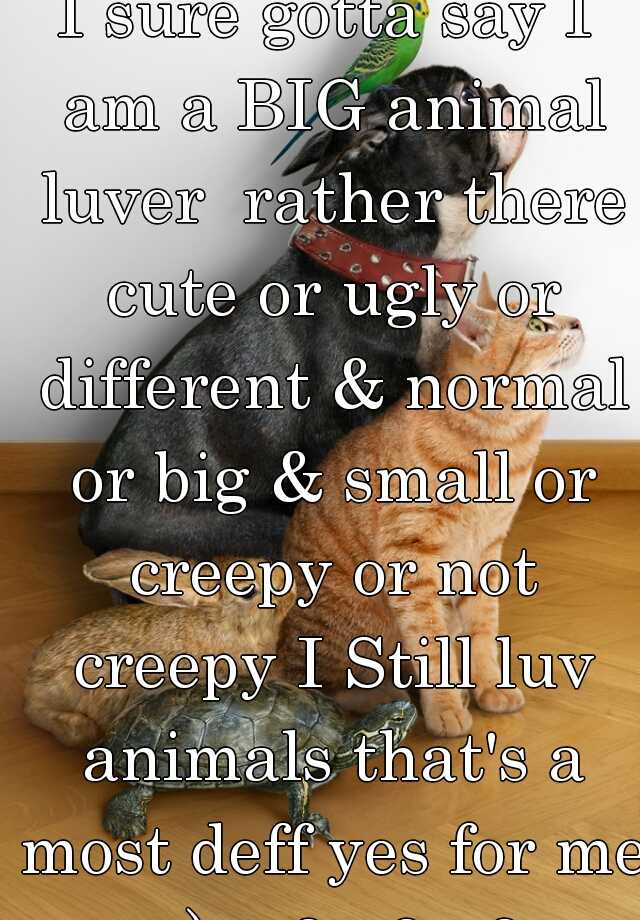 I sure gotta say I am a BIG animal luver  rather there cute or ugly or different & normal or big & small or creepy or not creepy I Still luv animals that's a most deff yes for me :-)  <3 <3 <3