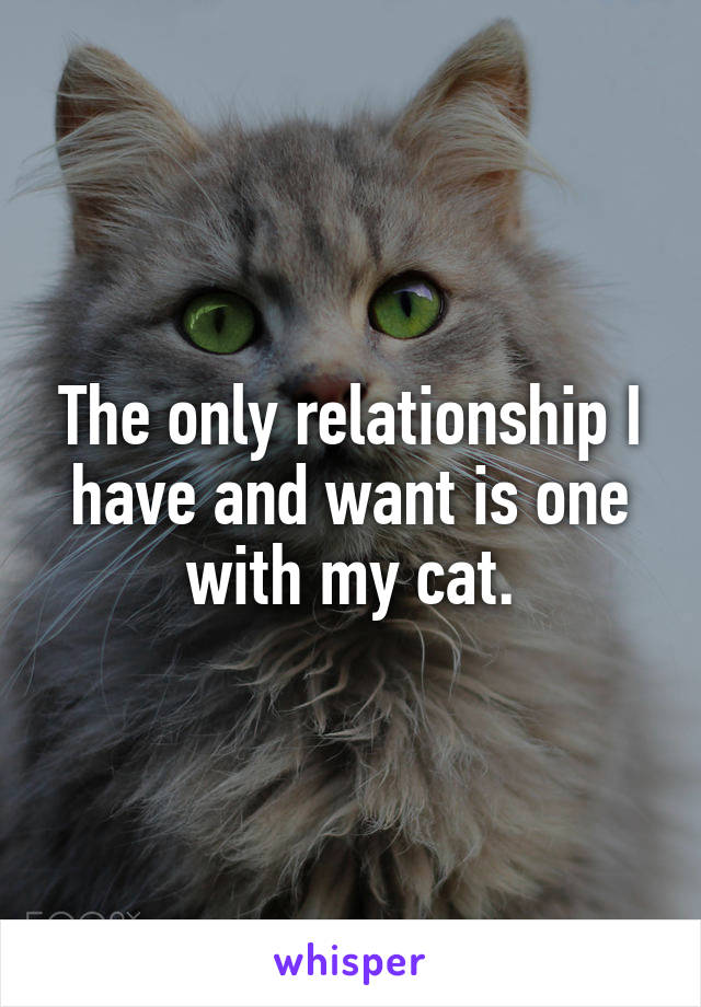 The only relationship I have and want is one with my cat.