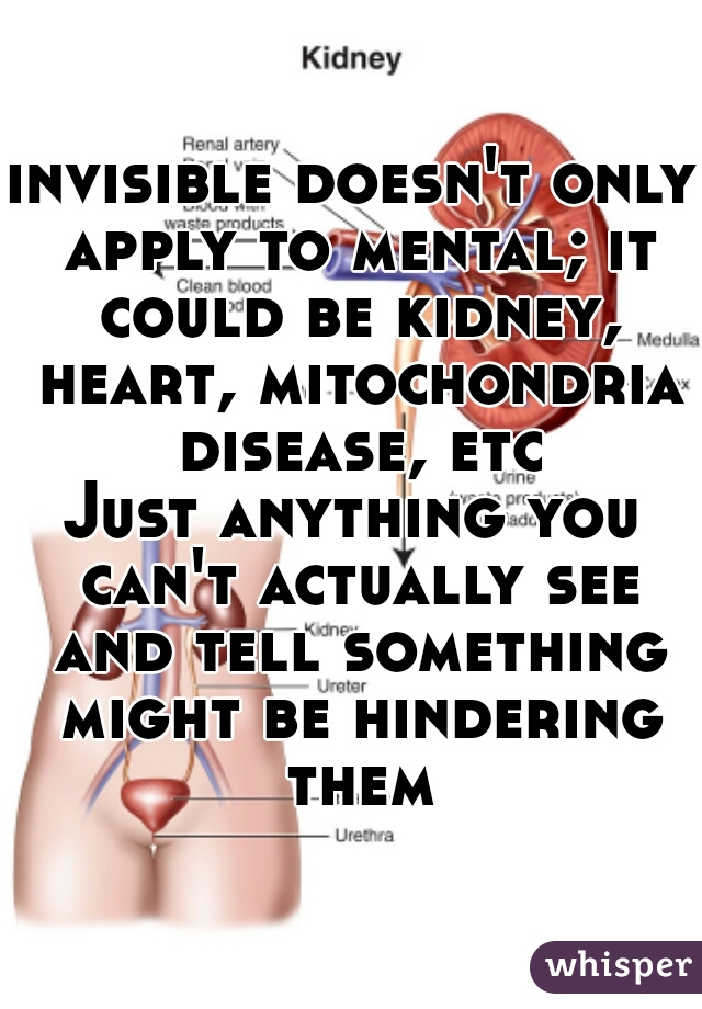 invisible doesn't only apply to mental; it could be kidney, heart, mitochondria disease, etc
Just anything you can't actually see and tell something might be hindering them