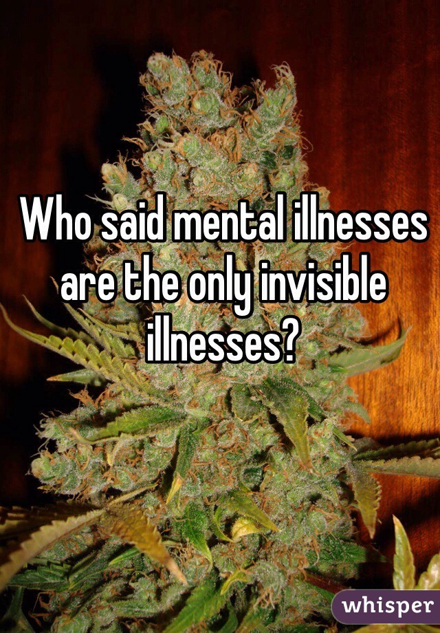 Who said mental illnesses are the only invisible illnesses? 