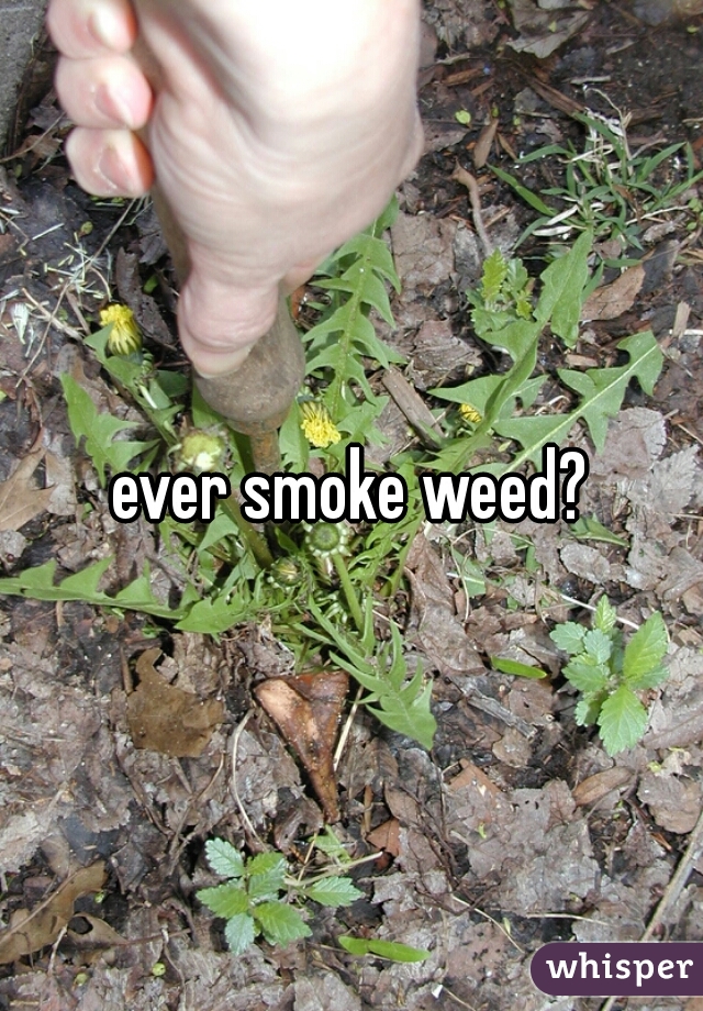 ever smoke weed?