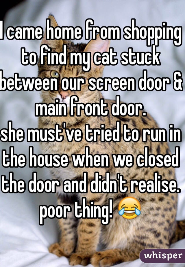 I came home from shopping to find my cat stuck between our screen door & main front door.
she must've tried to run in the house when we closed the door and didn't realise.
poor thing! 😂