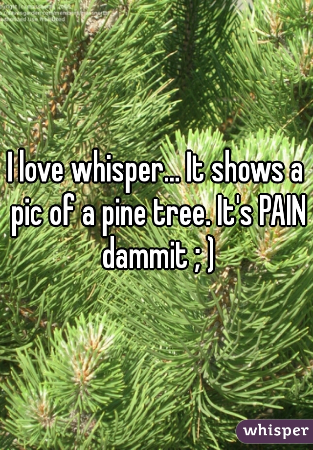 I love whisper... It shows a pic of a pine tree. It's PAIN dammit ; )