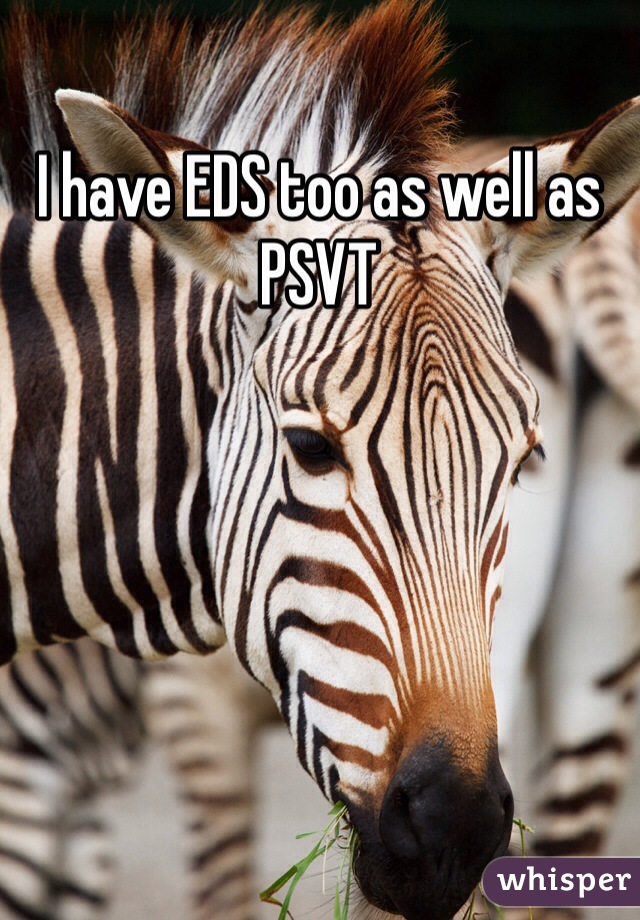 I have EDS too as well as PSVT