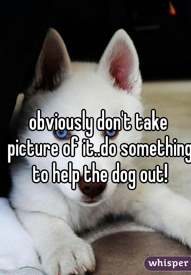 obviously don't take picture of it..do something to help the dog out!