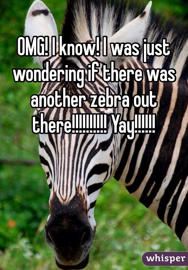 OMG! I know! I was just wondering if there was another zebra out there!!!!!!!!!! Yay!!!!!!