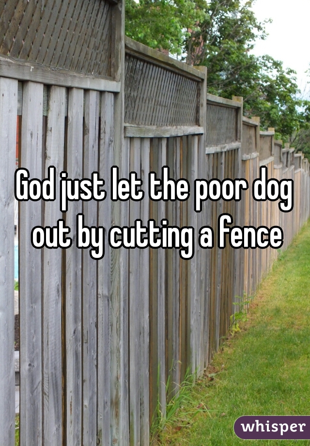 God just let the poor dog out by cutting a fence