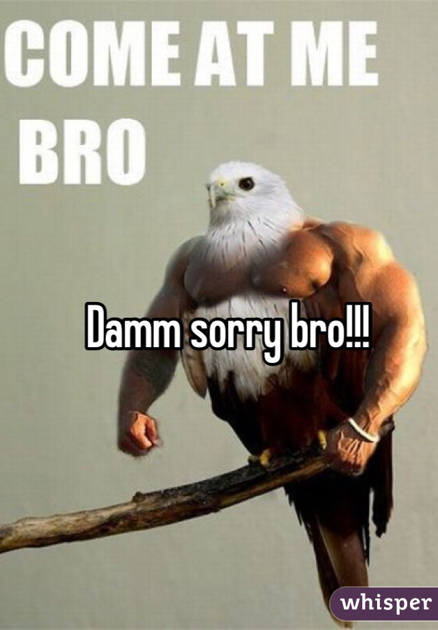 Damm sorry bro!!!