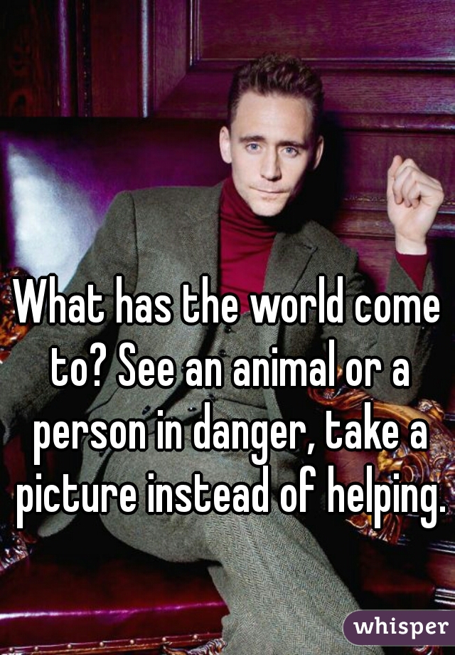 What has the world come to? See an animal or a person in danger, take a picture instead of helping.