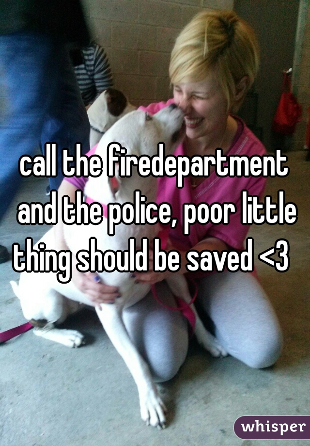 call the firedepartment and the police, poor little thing should be saved <3  