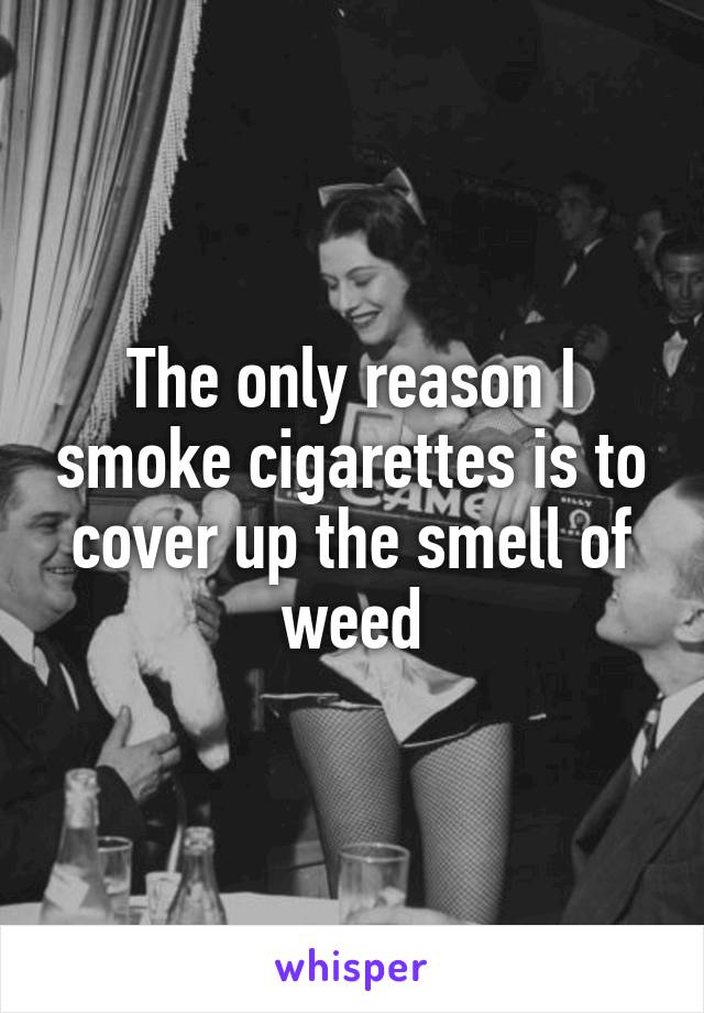 The only reason I smoke cigarettes is to cover up the smell of weed
