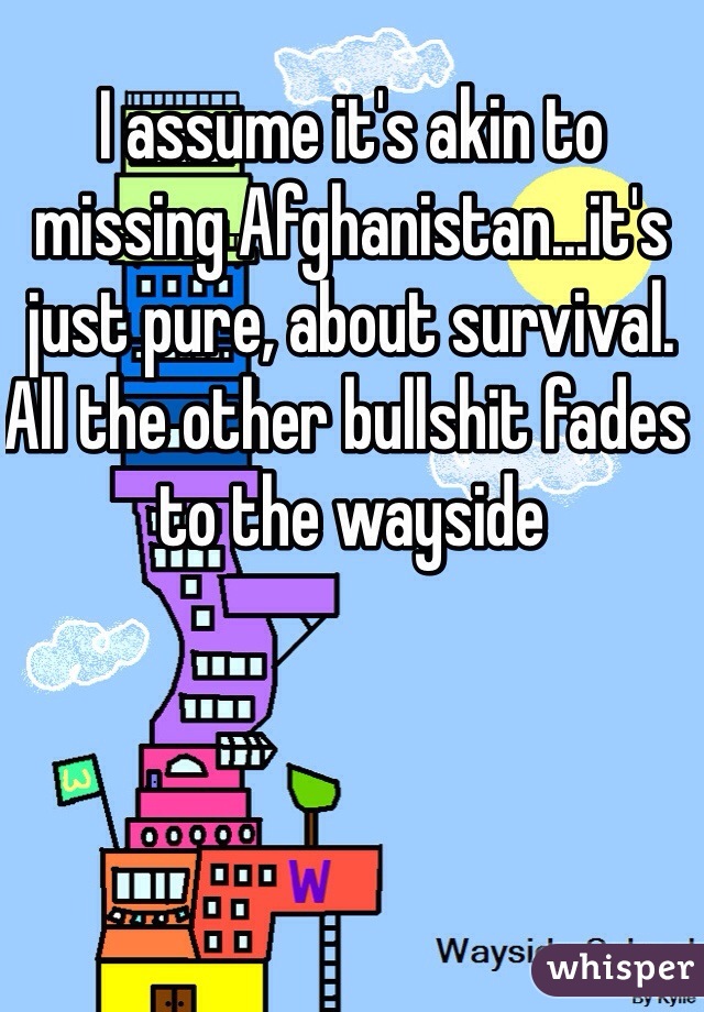 I assume it's akin to missing Afghanistan...it's just pure, about survival.  All the other bullshit fades to the wayside 