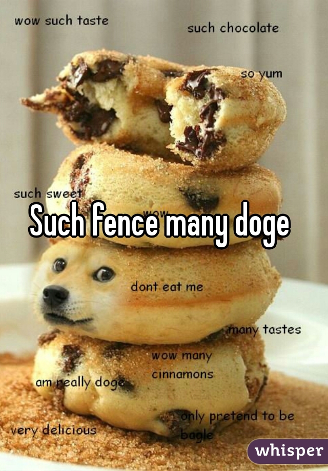 Such fence many doge 