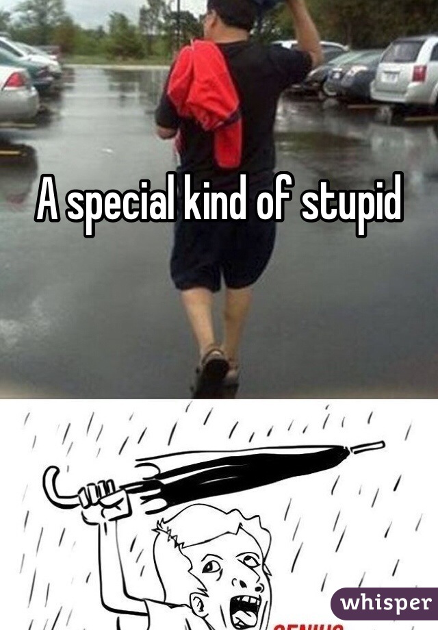 A special kind of stupid