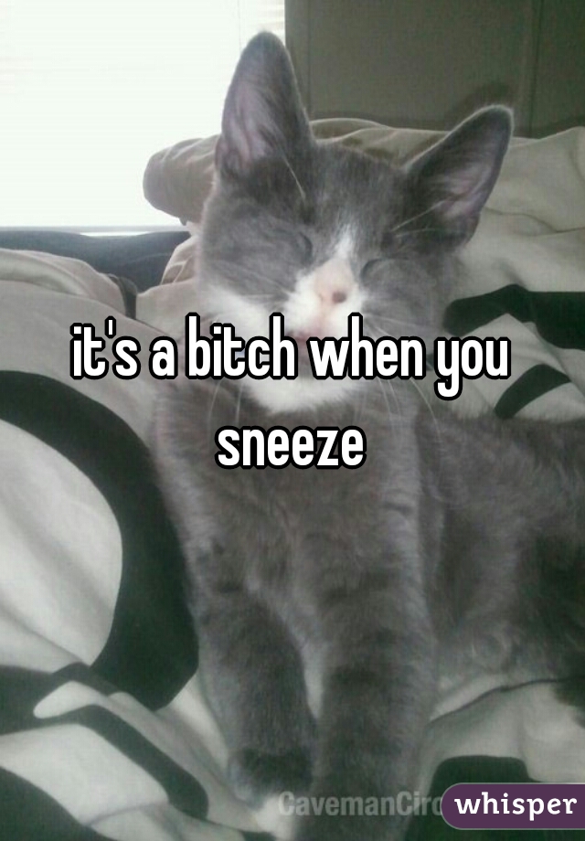 it's a bitch when you sneeze 