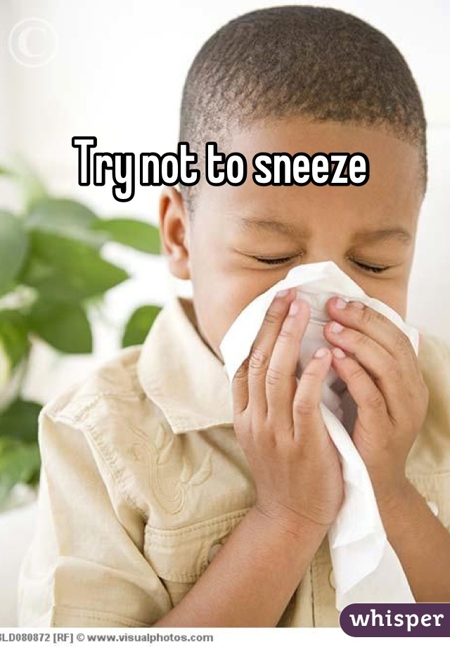 Try not to sneeze 