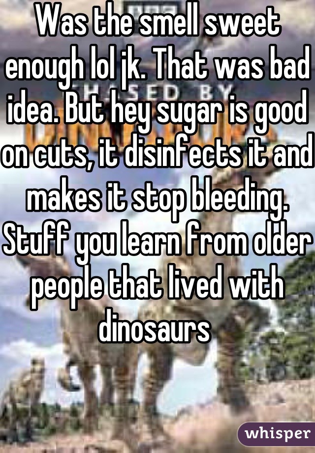 Was the smell sweet enough lol jk. That was bad idea. But hey sugar is good on cuts, it disinfects it and makes it stop bleeding. Stuff you learn from older people that lived with dinosaurs 