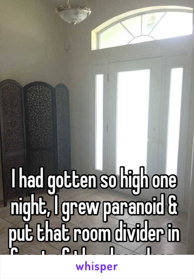 I had gotten so high one night, I grew paranoid & put that room divider in front of the glass door. 