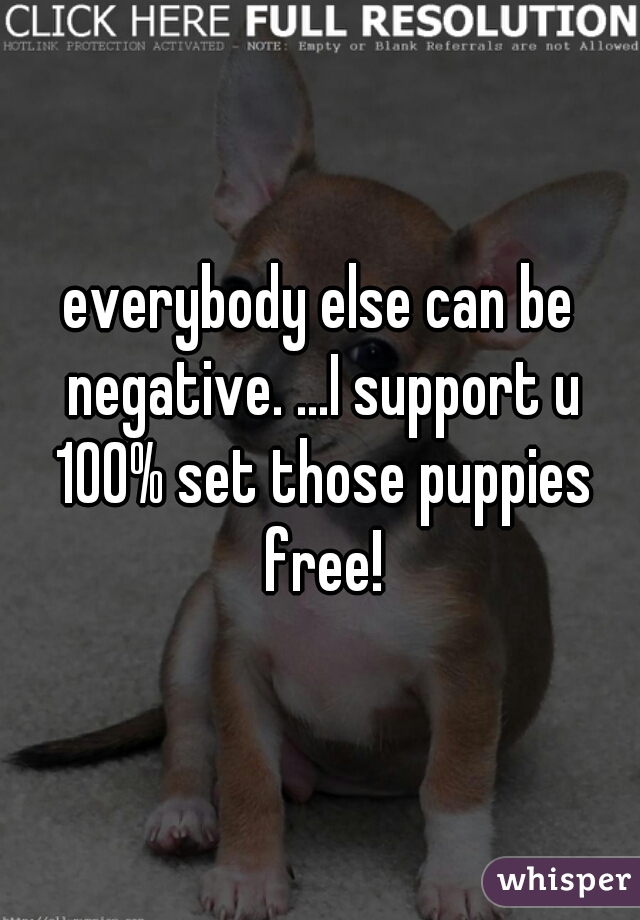 everybody else can be negative. ...I support u 100% set those puppies free!