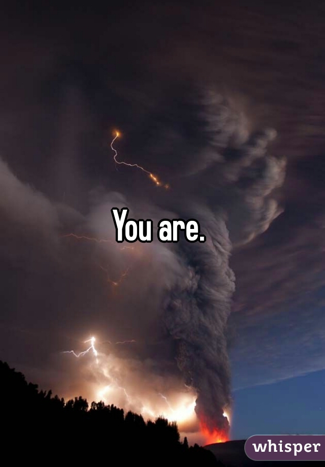 You are. 