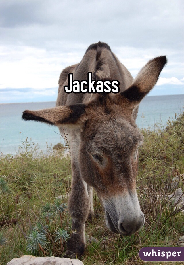 Jackass