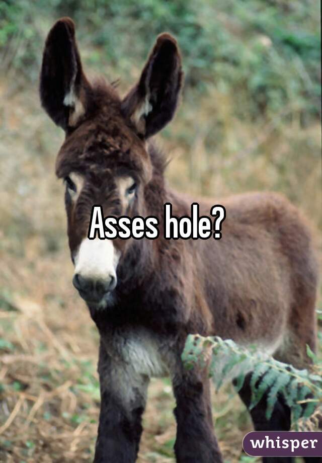 Asses hole? 