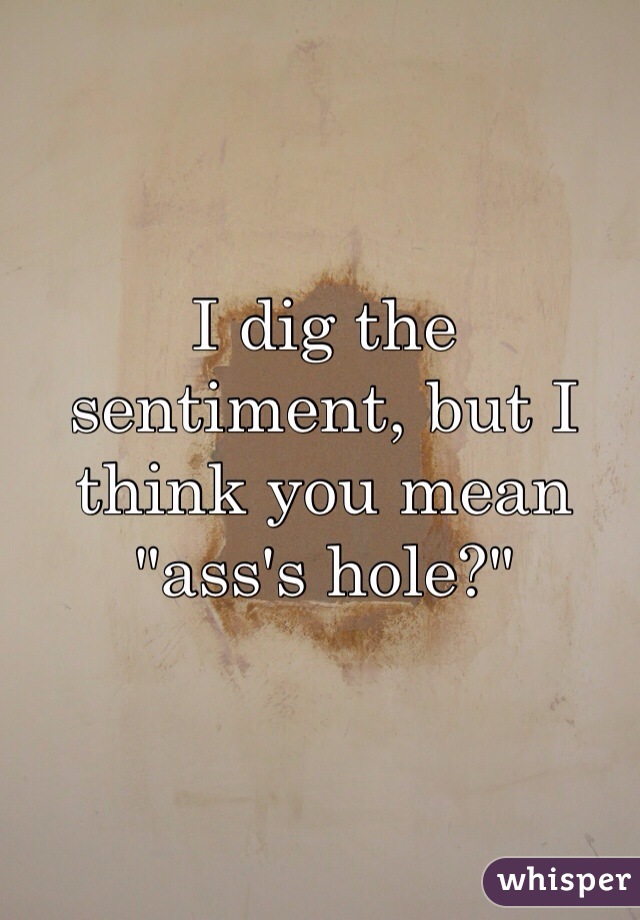 I dig the sentiment, but I think you mean "ass's hole?"