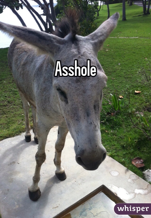 Asshole