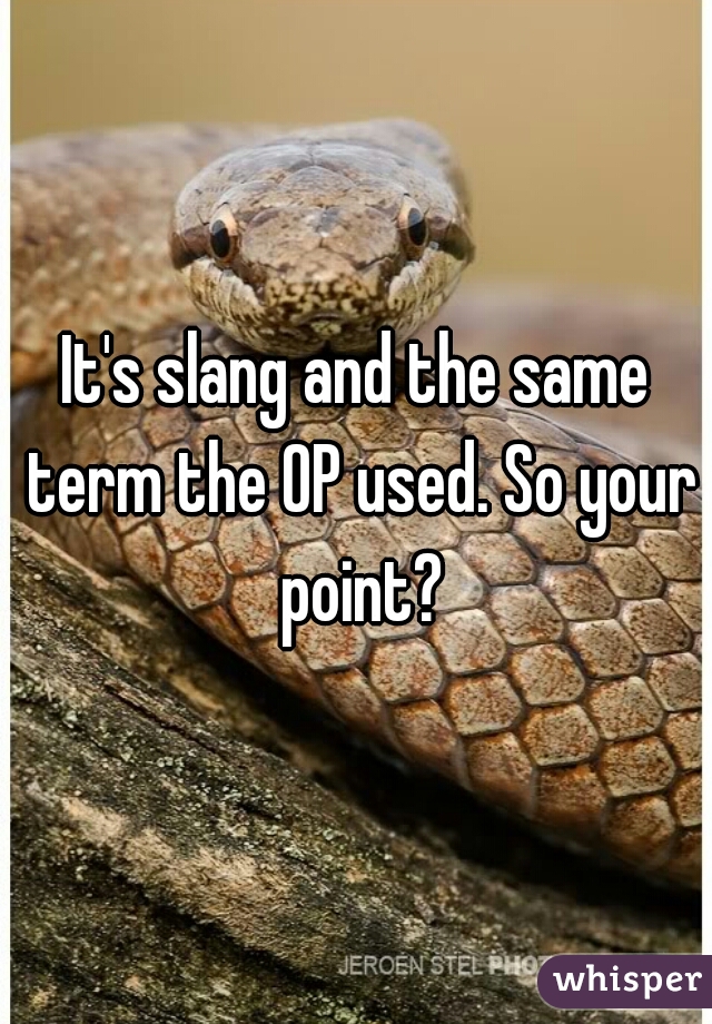 It's slang and the same term the OP used. So your point?