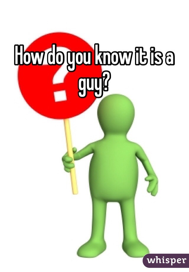 How do you know it is a guy?