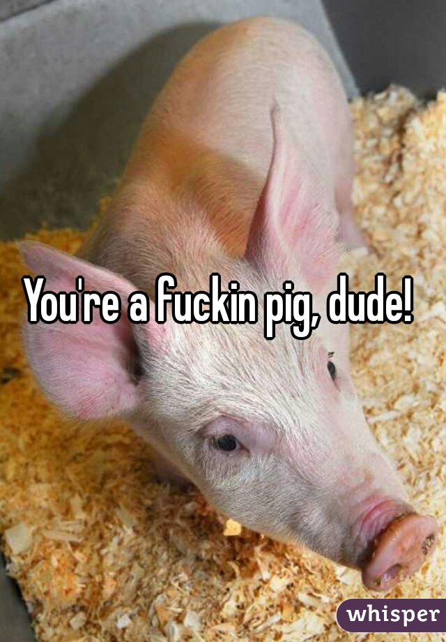 You're a fuckin pig, dude! 