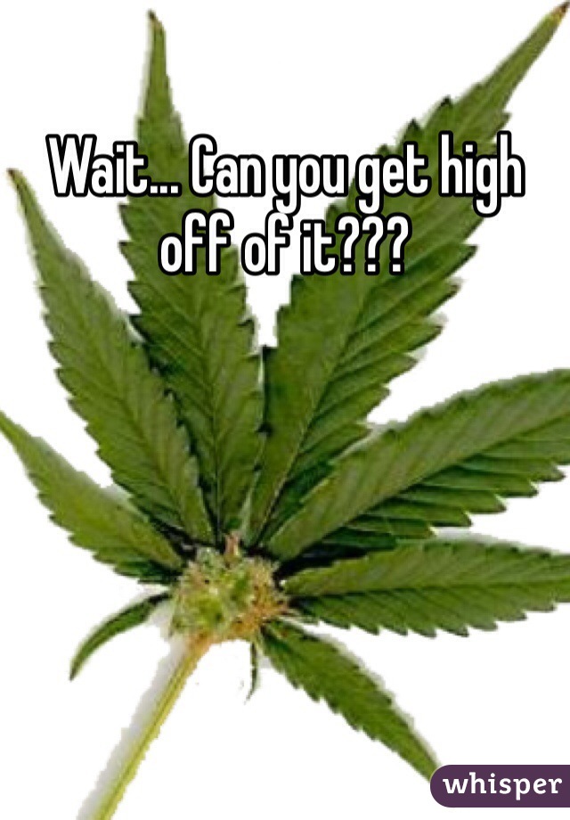 Wait... Can you get high off of it???