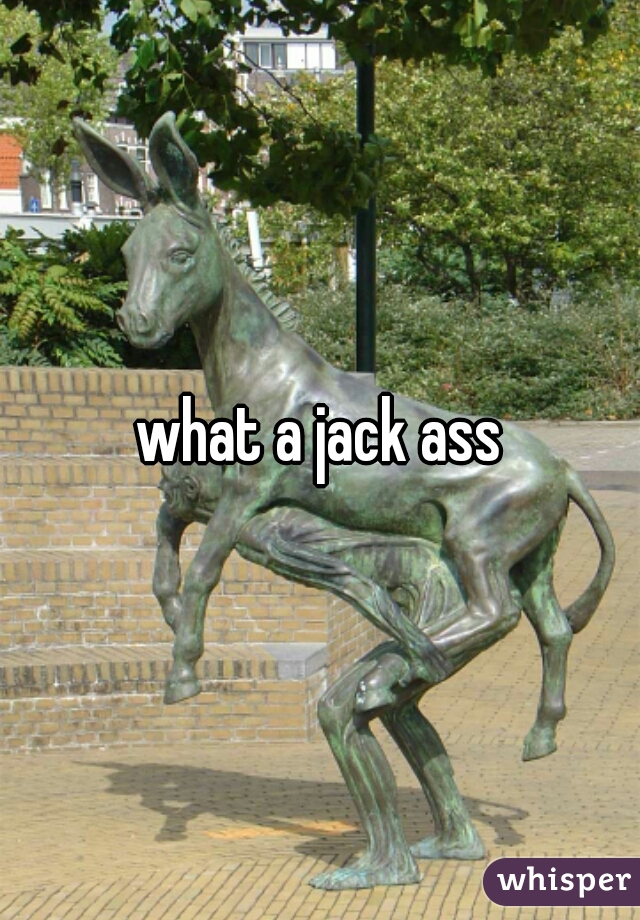 what a jack ass