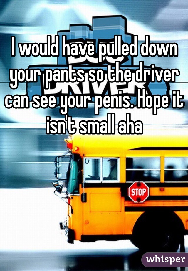 I would have pulled down your pants so the driver can see your penis. Hope it isn't small aha