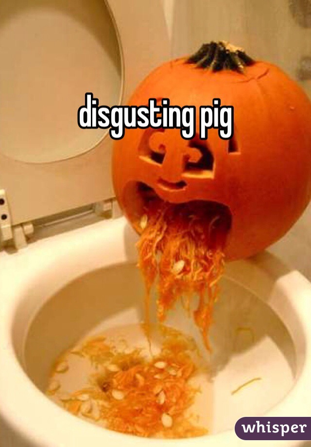 disgusting pig
