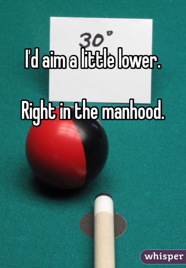 I'd aim a little lower.

Right in the manhood.