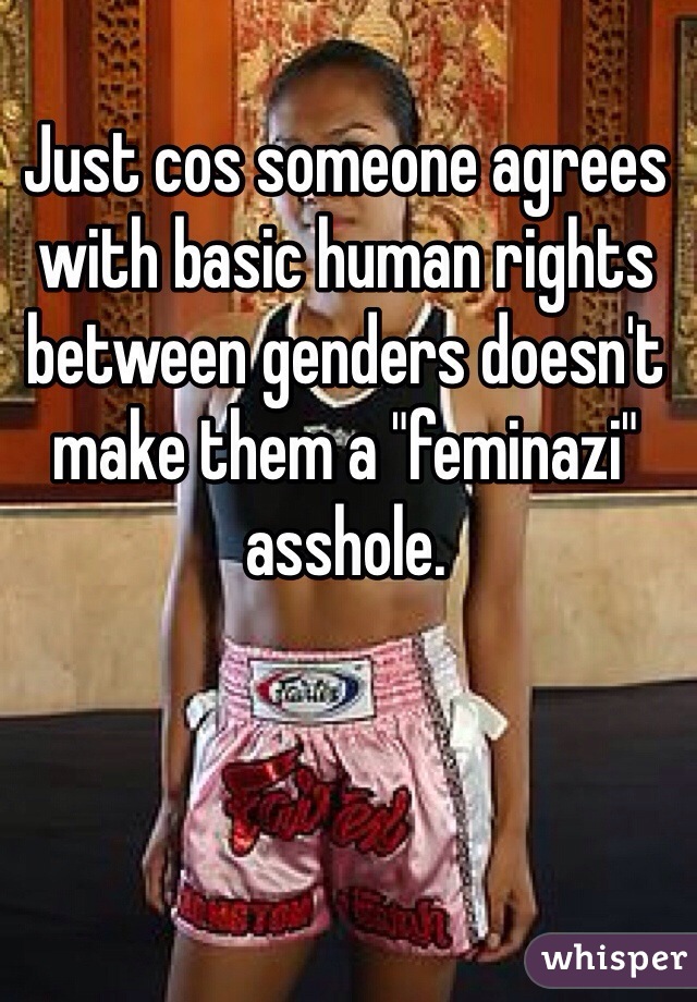 Just cos someone agrees with basic human rights between genders doesn't make them a "feminazi" asshole.