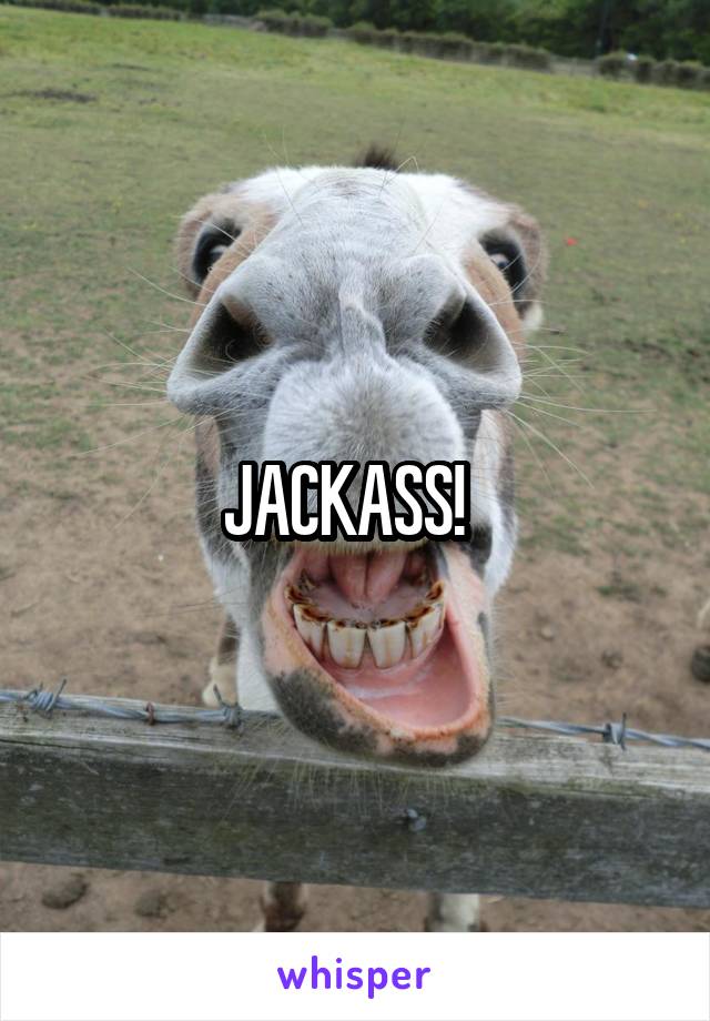 JACKASS!  