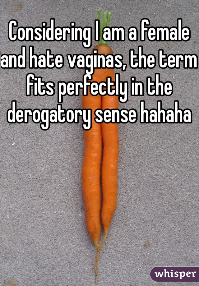 Considering I am a female and hate vaginas, the term fits perfectly in the derogatory sense hahaha 