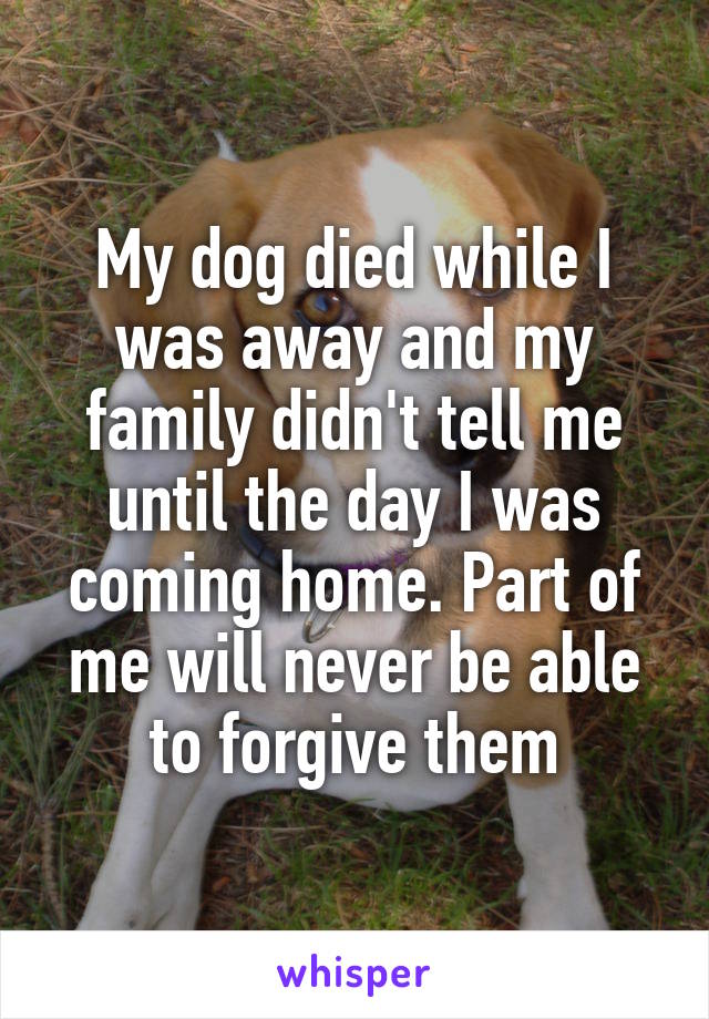 My dog died while I was away and my family didn't tell me until the day I was coming home. Part of me will never be able to forgive them