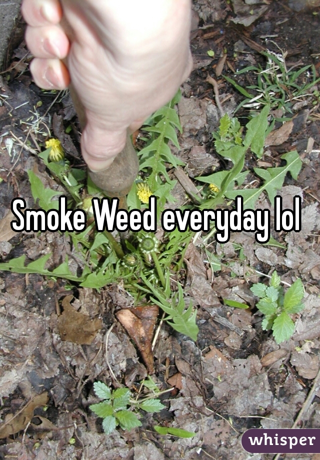 Smoke Weed everyday lol 