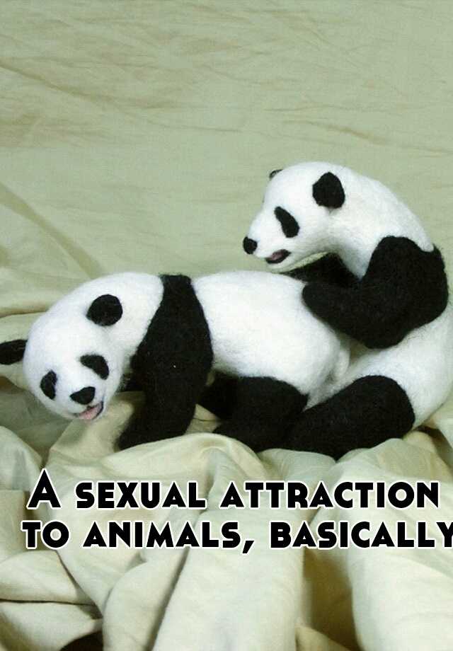 A sexual attraction to animals, basically