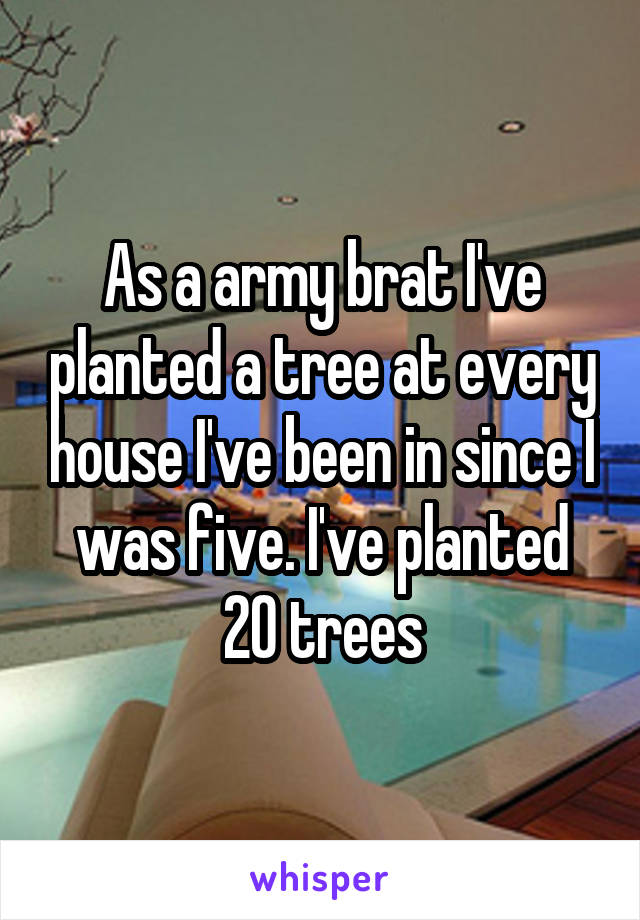 As a army brat I've planted a tree at every house I've been in since I was five. I've planted 20 trees