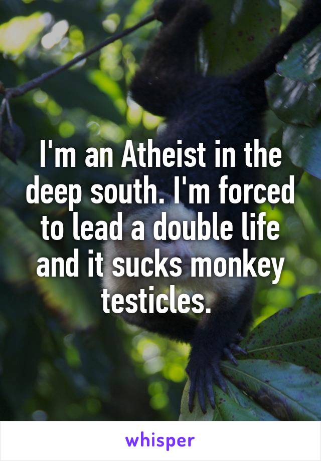 I'm an Atheist in the deep south. I'm forced to lead a double life and it sucks monkey testicles. 
