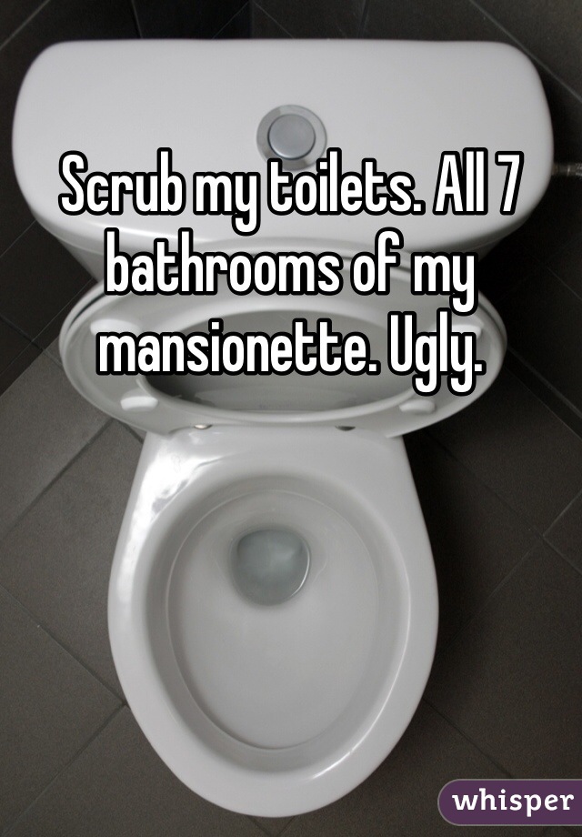 Scrub my toilets. All 7 bathrooms of my mansionette. Ugly. 