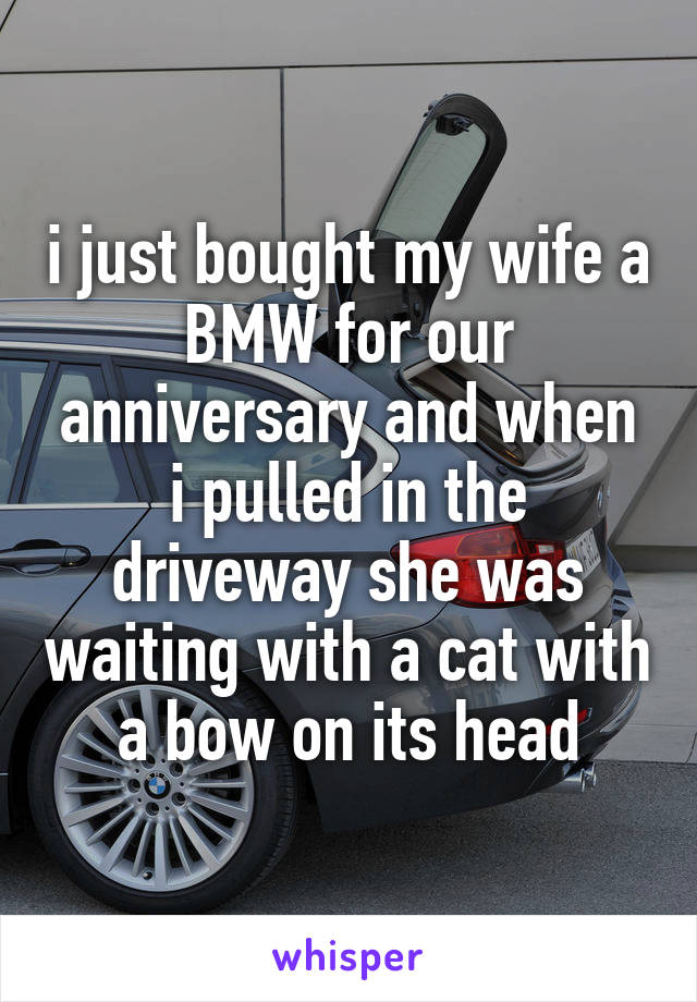 i just bought my wife a BMW for our anniversary and when i pulled in the driveway she was waiting with a cat with a bow on its head