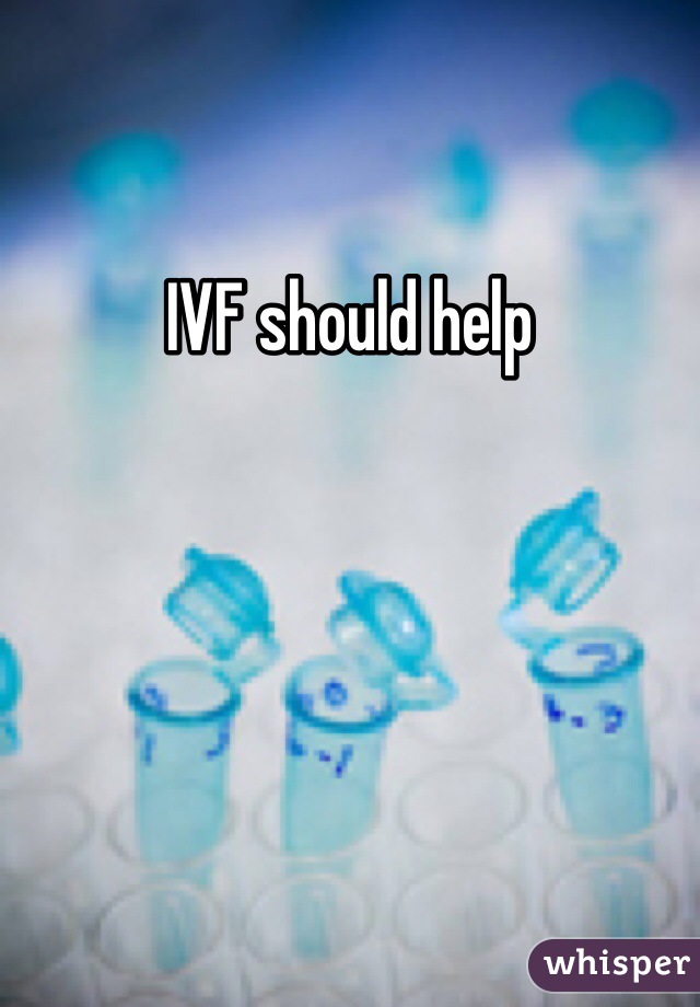 IVF should help 